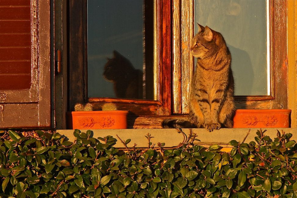 Godersi il tramonto.JPG